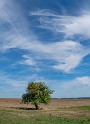 1 Eifel-Mosel-09---2018DSC_2662-1-Kopie